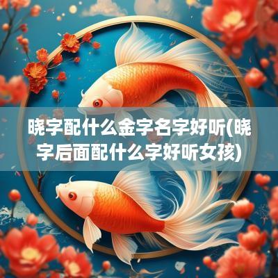 晓字配什么金字名字好听(晓字后面配什么字好听女孩)
