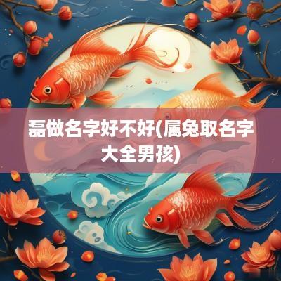 磊做名字好不好(属兔取名字大全男孩)