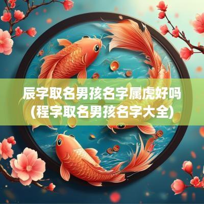 辰字取名男孩名字属虎好吗(程字取名男孩名字大全)