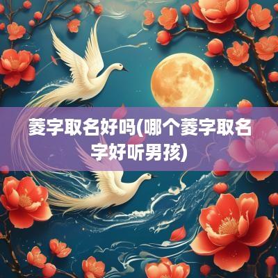 菱字取名好吗(哪个菱字取名字好听男孩)