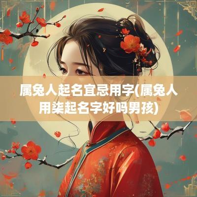 属兔人起名宜忌用字(属兔人用柒起名字好吗男孩)