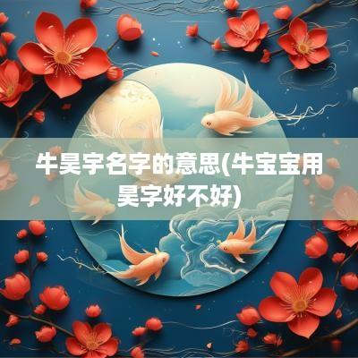 牛昊宇名字的意思(牛宝宝用昊字好不好)