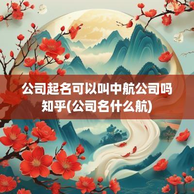 公司起名可以叫中航公司吗知乎(公司名什么航)