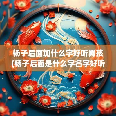 杨子后面加什么字好听男孩(杨子后面是什么字名字好听一点)