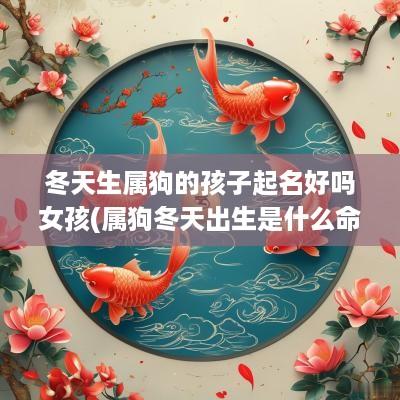 冬天生属狗的孩子起名好吗女孩(属狗冬天出生是什么命)