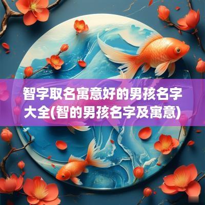 智字取名寓意好的男孩名字大全(智的男孩名字及寓意)