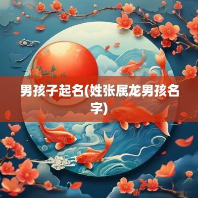男孩子起名(姓张属龙男孩名字)