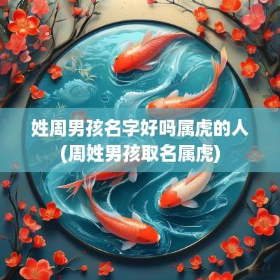 姓周男孩名字好吗属虎的人(周姓男孩取名属虎)