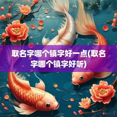 取名字哪个镇字好一点(取名字哪个镇字好听)