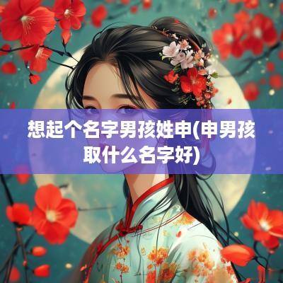 想起个名字男孩姓申(申男孩取什么名字好)
