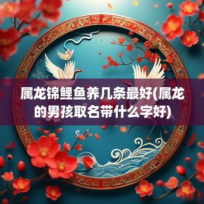 属龙锦鲤鱼养几条最好(属龙的男孩取名带什么字好)