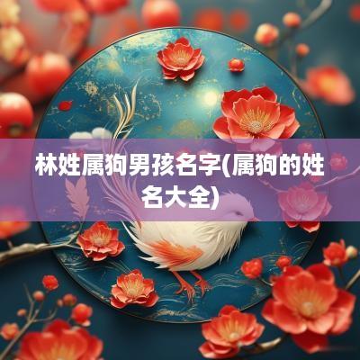 林姓属狗男孩名字(属狗的姓名大全)