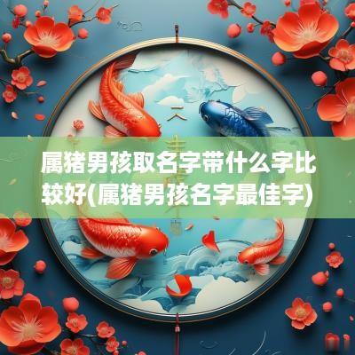 属猪男孩取名字带什么字比较好(属猪男孩名字最佳字)