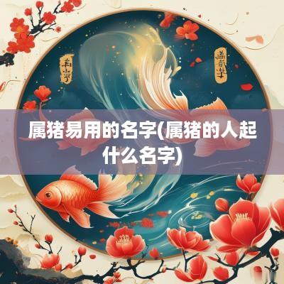 属猪易用的名字(属猪的人起什么名字)