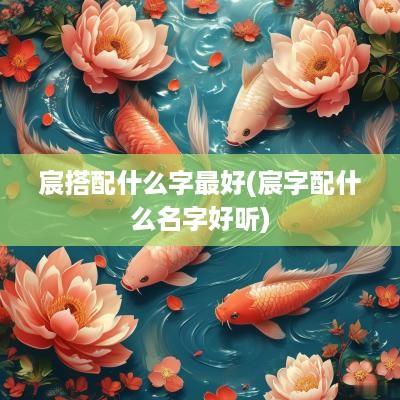 宸搭配什么字最好(宸字配什么名字好听)