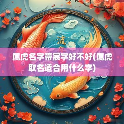 属虎名字带宸字好不好(属虎取名适合用什么字)