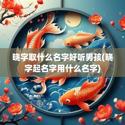 晓字取什么名字好听男孩(晓字起名字用什么名字)