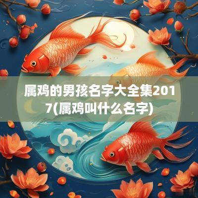 属鸡的男孩名字大全集2017(属鸡叫什么名字)