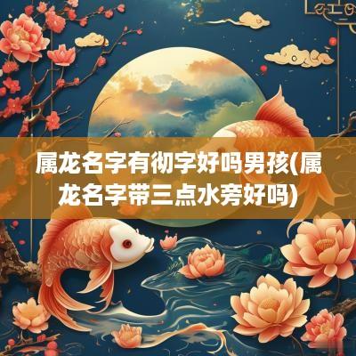 属龙名字有彻字好吗男孩(属龙名字带三点水旁好吗)