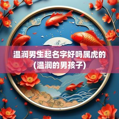 温润男生起名字好吗属虎的(温润的男孩子)