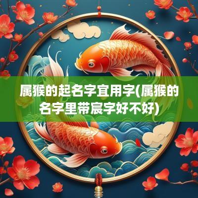 属猴的起名字宜用字(属猴的名字里带宸字好不好)