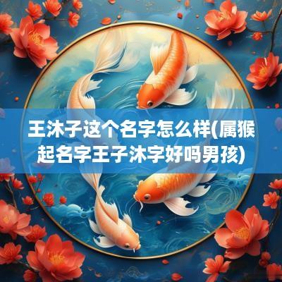 王沐子这个名字怎么样(属猴起名字王子沐字好吗男孩)