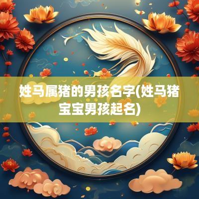 姓马属猪的男孩名字(姓马猪宝宝男孩起名)
