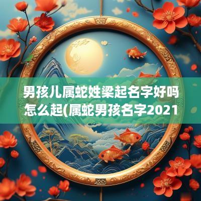 男孩儿属蛇姓梁起名字好吗怎么起(属蛇男孩名字2025年名字大全)