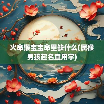火命猴宝宝命里缺什么(属猴男孩起名宜用字)