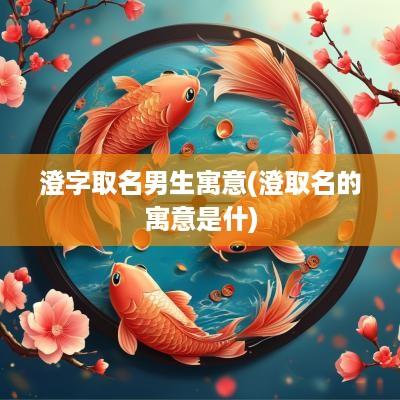 澄字取名男生寓意(澄取名的寓意是什)