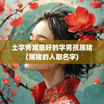 土字旁寓意好的字男孩属猪(属猪的人取名字)