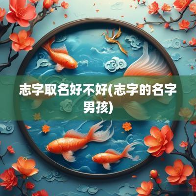 志字取名好不好(志字的名字男孩)