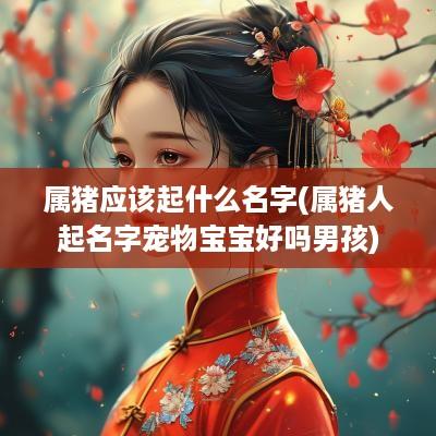 属猪应该起什么名字(属猪人起名字宠物宝宝好吗男孩)