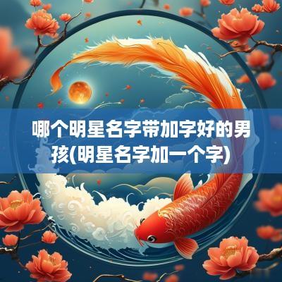 哪个明星名字带加字好的男孩(明星名字加一个字)