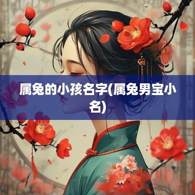 属兔的小孩名字(属兔男宝小名)