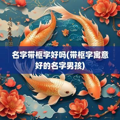名字带枢字好吗(带枢字寓意好的名字男孩)