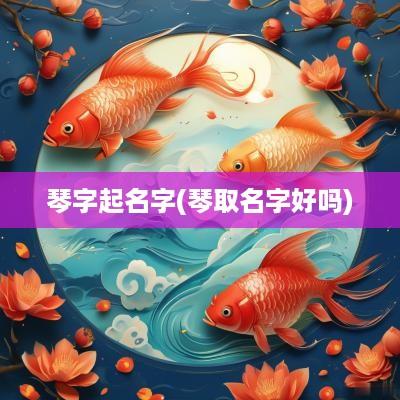琴字起名字(琴取名字好吗)