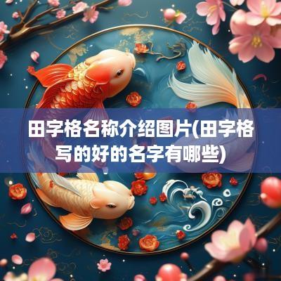 田字格名称介绍图片(田字格写的好的名字有哪些)
