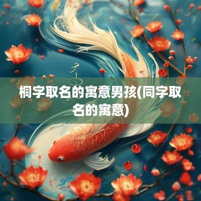 桐字取名的寓意男孩(同字取名的寓意)