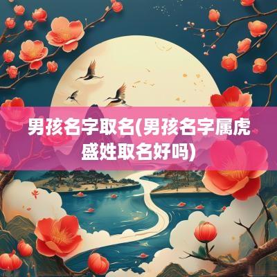 男孩名字取名(男孩名字属虎盛姓取名好吗)