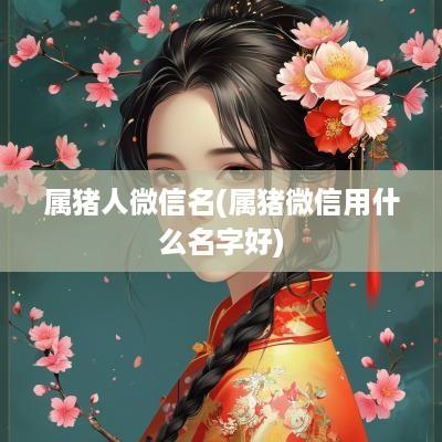 属猪人微信名(属猪微信用什么名字好)