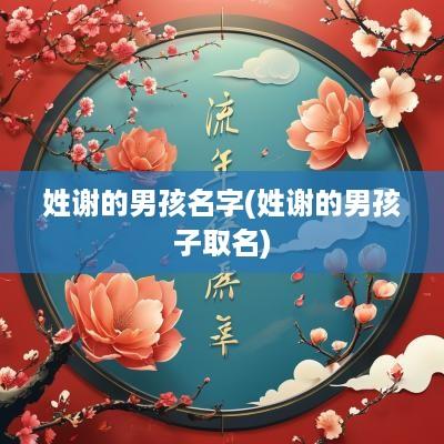 姓谢的男孩名字(姓谢的男孩子取名)