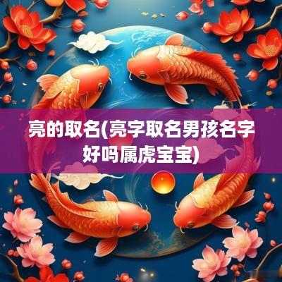亮的取名(亮字取名男孩名字好吗属虎宝宝)