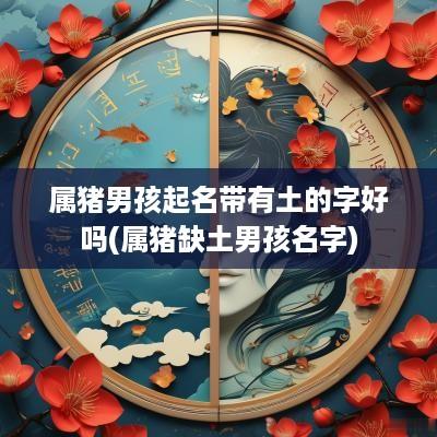 属猪男孩起名带有土的字好吗(属猪缺土男孩名字)