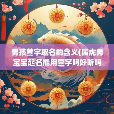 男孩萱字取名的含义(属虎男宝宝起名能用萱字吗好听吗)