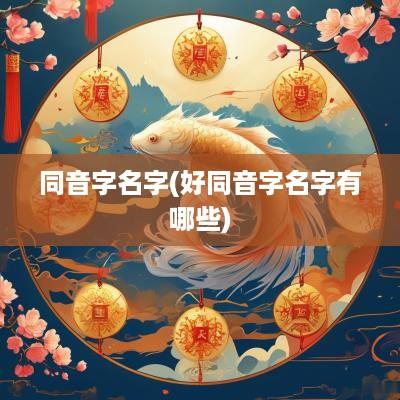 同音字名字(好同音字名字有哪些)