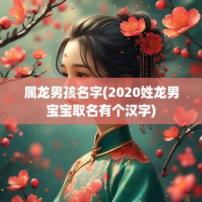 属龙男孩名字(2025姓龙男宝宝取名有个汉字)