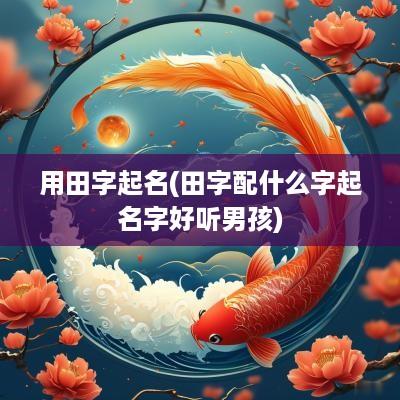 用田字起名(田字配什么字起名字好听男孩)