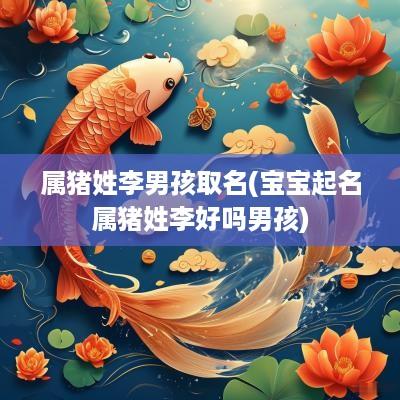 属猪姓李男孩取名(宝宝起名属猪姓李好吗男孩)