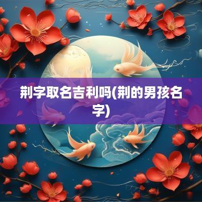 荆字取名吉利吗(荆的男孩名字)